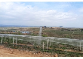 無人機(jī)打藥