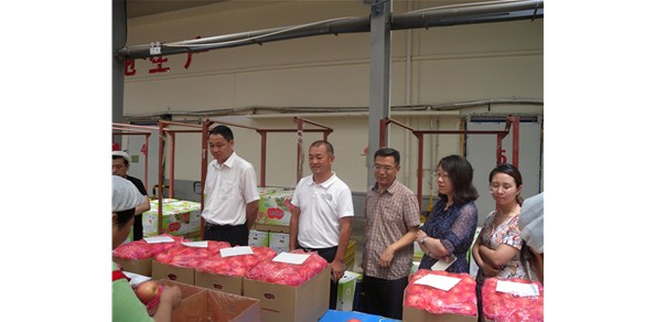 《綠色食品品質(zhì)、營業(yè)功能評(píng)價(jià)標(biāo)準(zhǔn)課題》調(diào)研在棲霞德豐開展