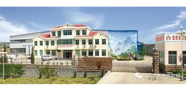 棲霞德豐食品有限公司入選第七批農(nóng)業(yè)產(chǎn)業(yè)化國家重點(diǎn)龍頭企業(yè)！