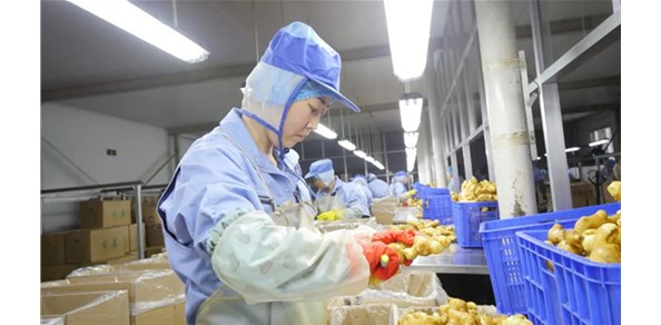 國貿基地穩(wěn)步發(fā)展，出口帶富效應明顯