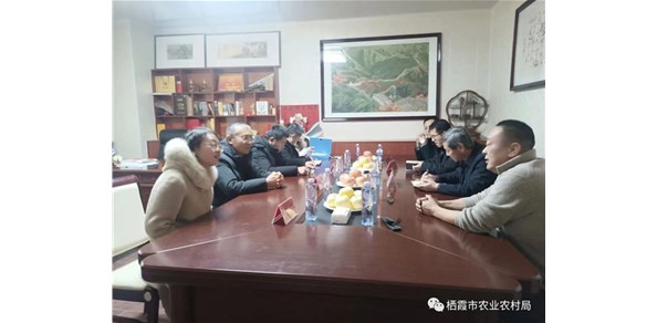 省農(nóng)業(yè)農(nóng)村廳檢查組來(lái)我市開(kāi)展農(nóng)業(yè)標(biāo)準(zhǔn)化生產(chǎn)基地檢查驗(yàn)收