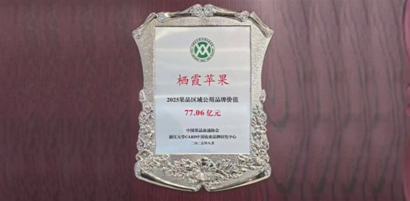 77.06億元！“棲霞蘋(píng)果”品牌價(jià)值穩(wěn)居全國(guó)榜首！
