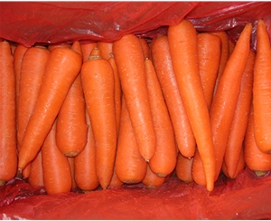 Carrots