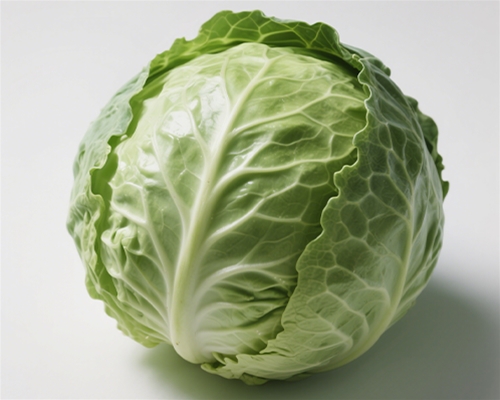 Cabbage